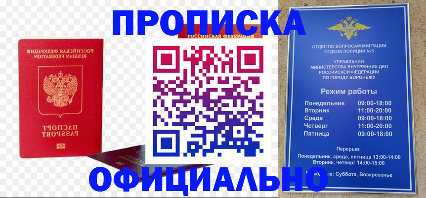 прописка иностранных граждан в Лыткарино